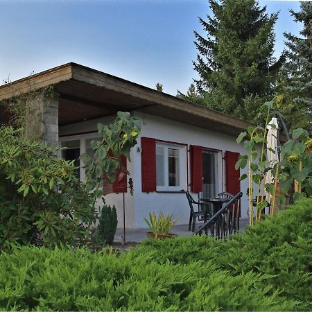 Cozy Holiday Home In G Ntersberge With Garden Guntersberge Ngoại thất bức ảnh